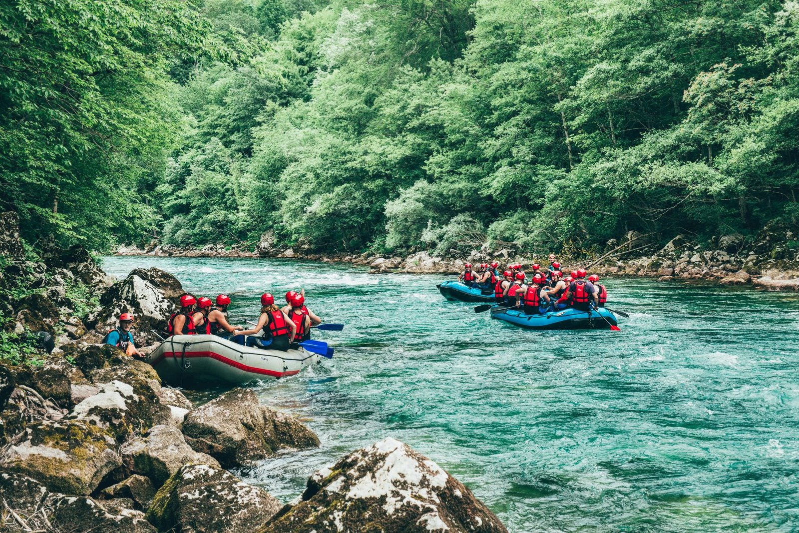 rafting tarom