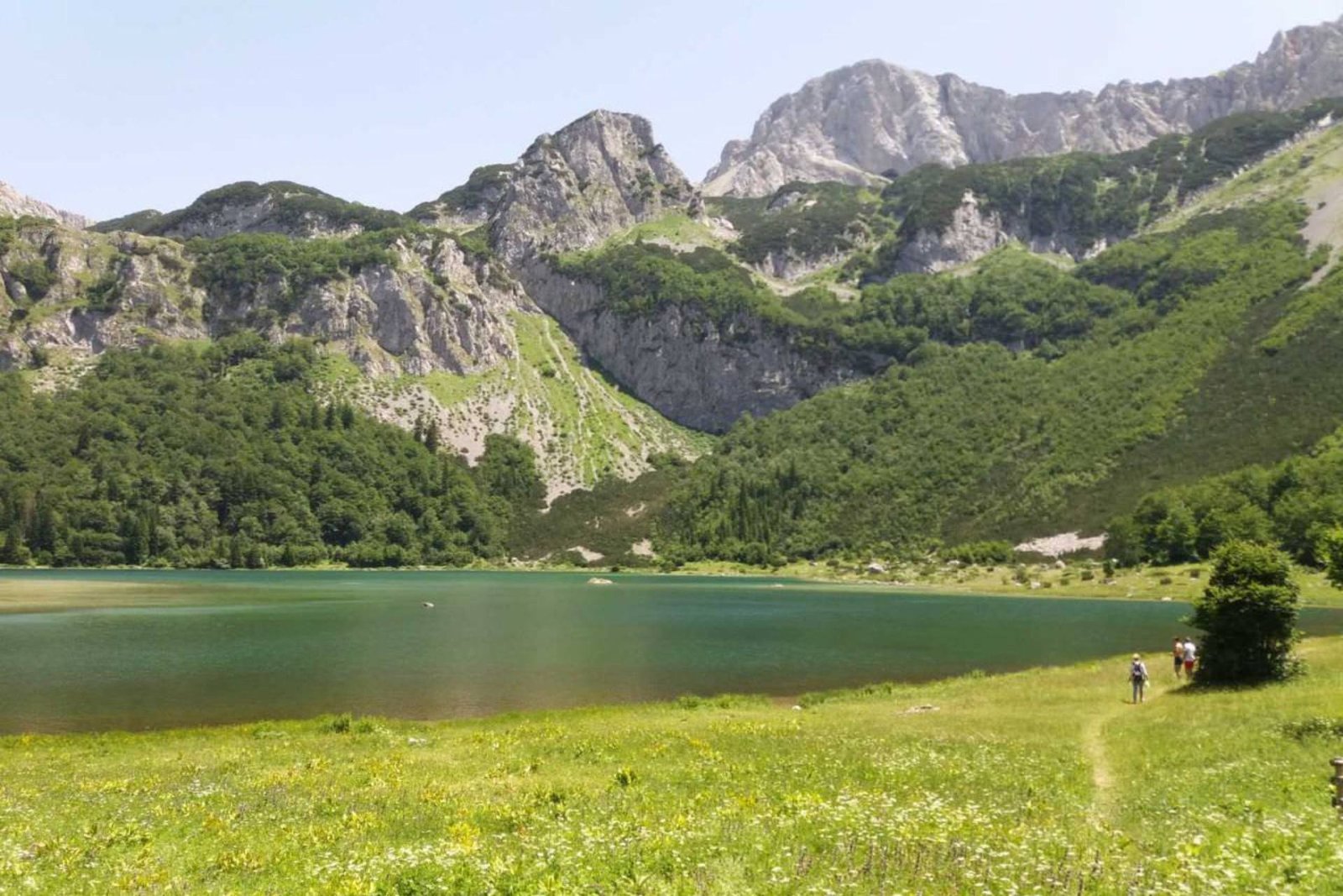 Rafting na Tari: Lepote kanjona iz prve ruke